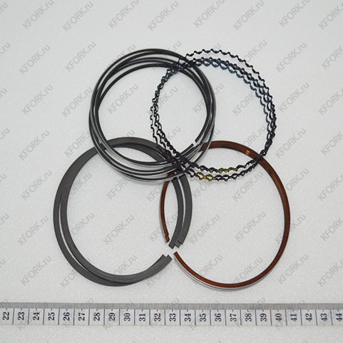 Поршневые Кольца 1.0 *G20/30E3 A218153 Doosan