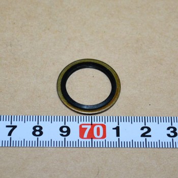 Кольцо A273254 Doosan